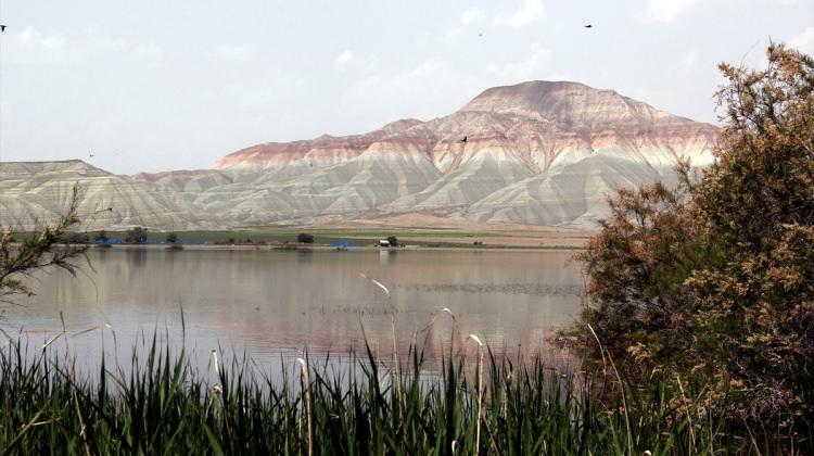 Nallıhan, 4. Foto Safari'ye hazırlanıyor