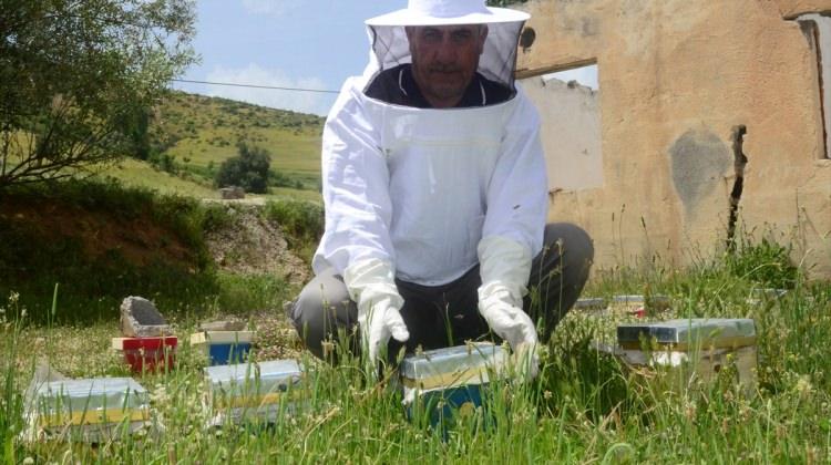Hizan'da ilk defa "ana arı" üretiliyor
