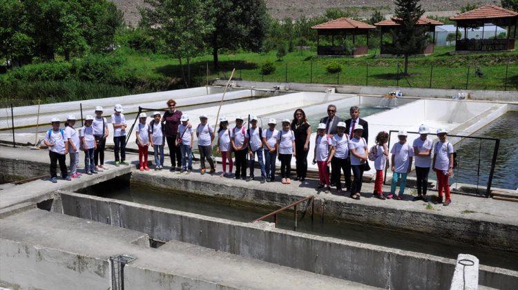 Sinop'ta "Lider Çocuk Tarım Kampı" etkinliği düzenlendi