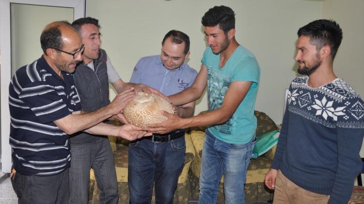 Yozgat'ta 3,3 kilogram ağırlığında mantar bulundu