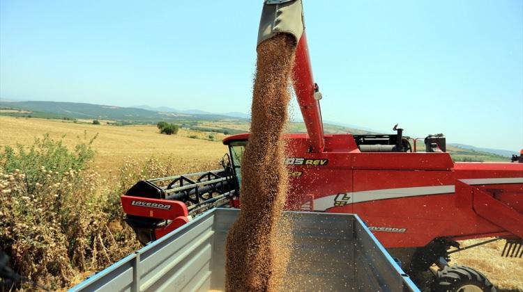 Trakya'da buğday hasadı devam ediyor