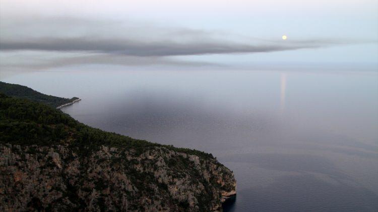 Muğla'da kamp alanında yangın