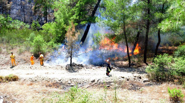 Adrasan'daki orman yangını