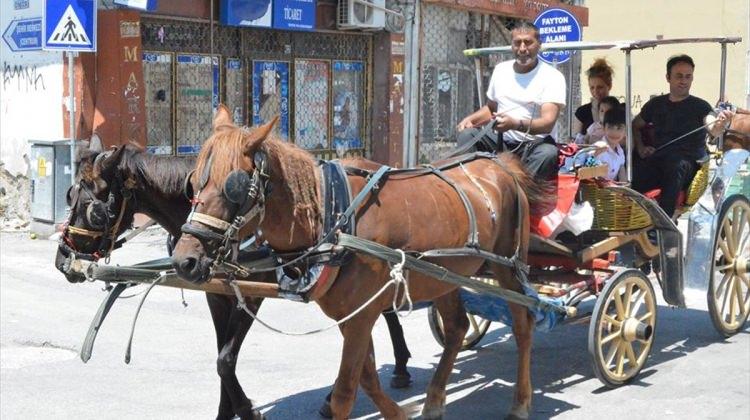 Edirne'de faytoncular, şehiriçi hizmet vermek istiyor