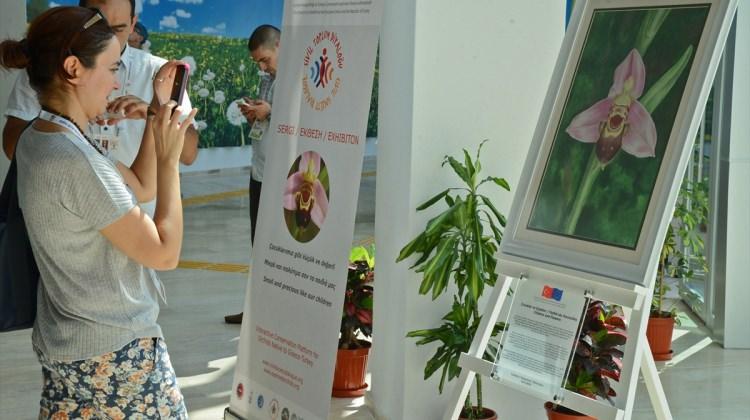 Türkiye ve Yunanistan orkideler için EXPO 2016'da bir araya geldi