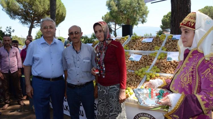 Nazilli'de kuru incirin kilosu 125 liradan satıldı
