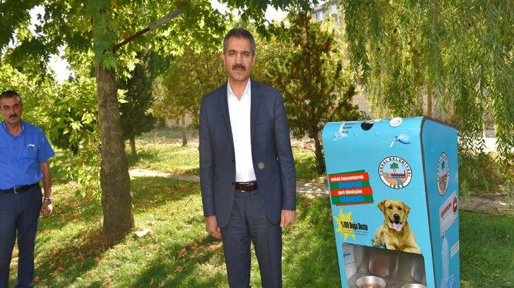 Tokat'ta "Sokak Hayvanlarına Şefkat Eli" projesi