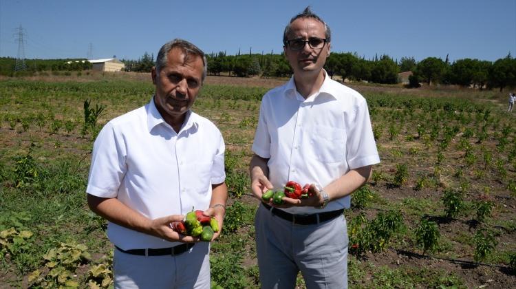 "Organik logosu olmayan ürünleri satın almayın"