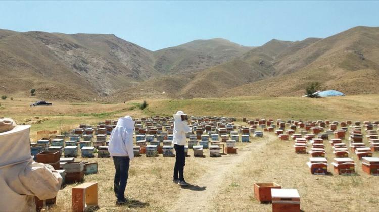 Hakkari'de arı kovanı dağıtıldı