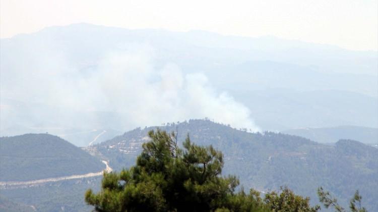 Türkiye-Suriye sınırında orman yangını