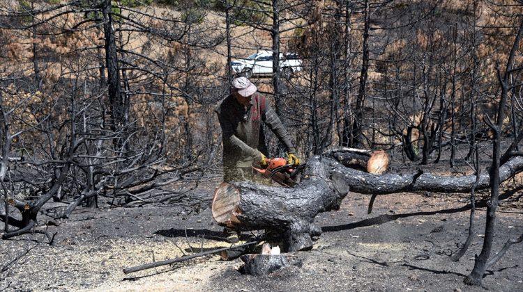 Eskişehir'deki orman yangını sonrası yapılan çalışmalar