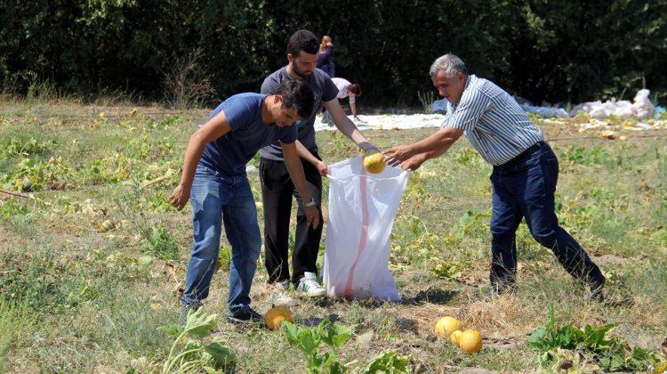 "Hanım tırnağına" akademik müdahale