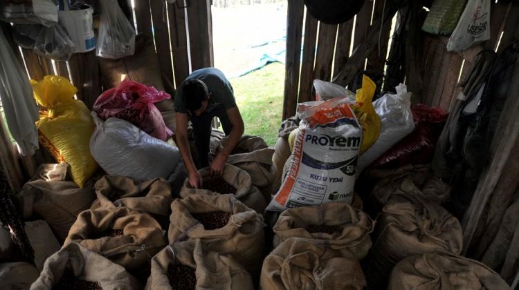 Düzceli fındıkçılar ürünlerini "bagen"de koruyor
