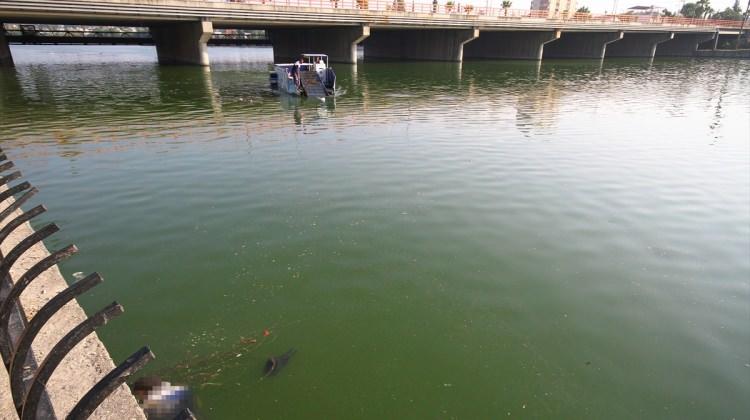 Seyhan Nehri'nde ceset bulundu