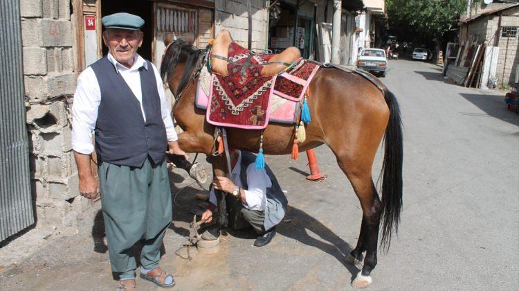 Adıyaman'da atlara "kışlık nal"