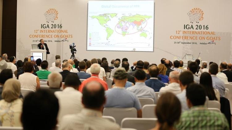 "12. Uluslararası Keçicilik Konferansı" Antalya'da başladı