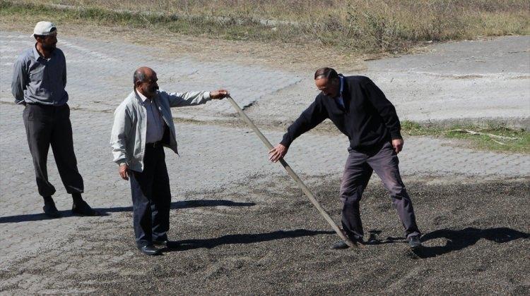 Havza Yağlı Tohumlar'da genel kurula doğru