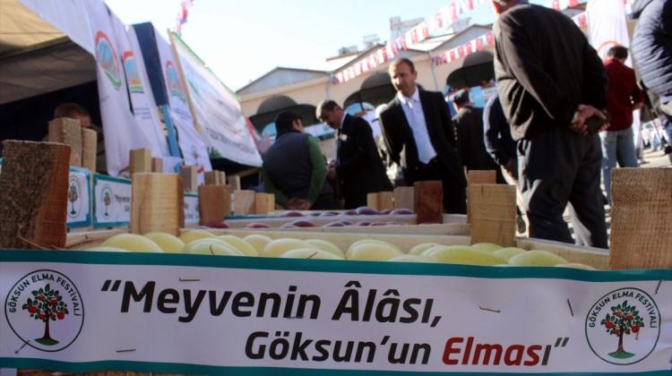 Kahramanmaraş'ta 5. Geleneksel Elma Festivali