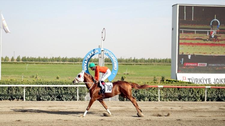 At yarışları: Diyarbakır Valilik Kupası Koşusu