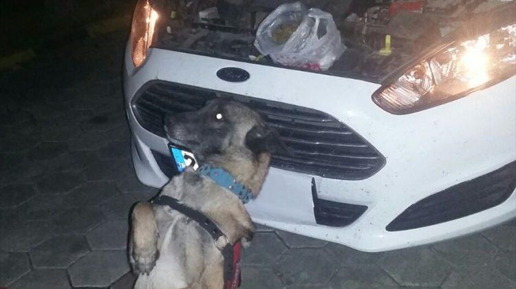 Eskişehir'de uyuşturucu operasyonu