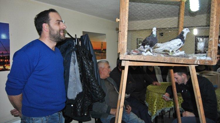 Tekirdağ’da açık arttırma usulüyle güvercin satışı