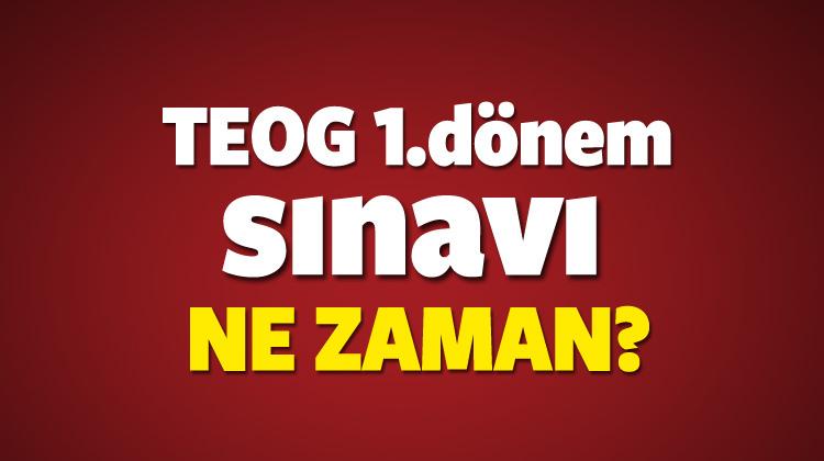 teog 2016 2017 1 donem sinavi ne