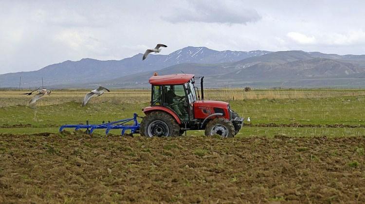 Tarım ve gıdada dış ticaret arttı