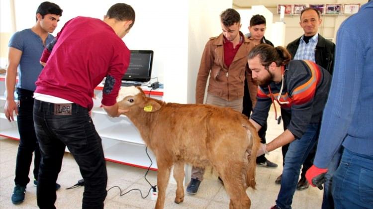 Seydişehir'de hayvan hastanesi hizmete başladı
