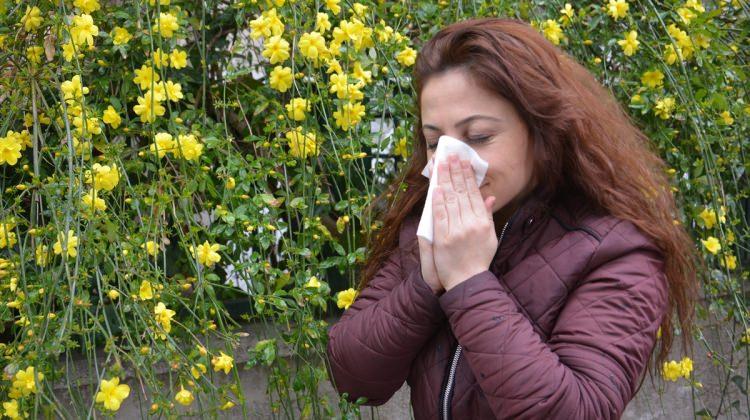 Bahar yorgunluğunun nedeni alerji