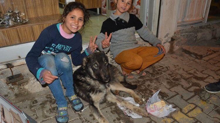 Suriyeli kardeşler hasta köpeğe sahip çıktı