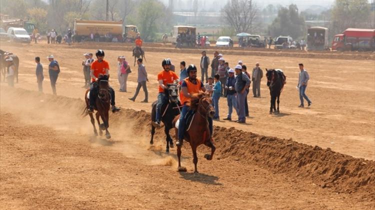 Ödemiş'te Rahvan At Yarışları yapıldı