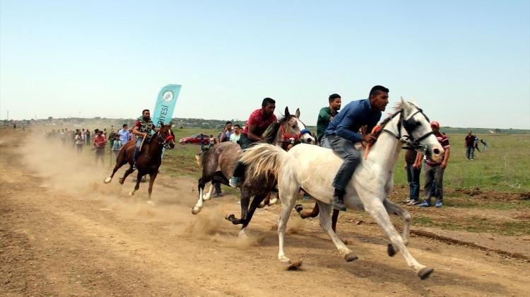 Romanlar, Kakava yarışlarında at binme hünerlerini sergiledi