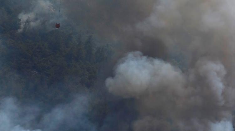 İzmir'deki makilik ve orman yangını