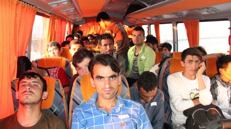 Sivas'ta 51 kaçak yakalandı