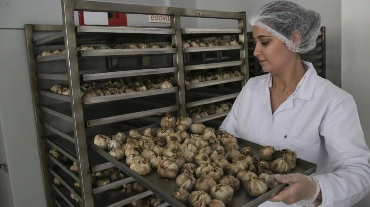 4 Liraya Aliyor 20 Gun Sonra 150 Liraya Satiyor Ekonomi Haberleri