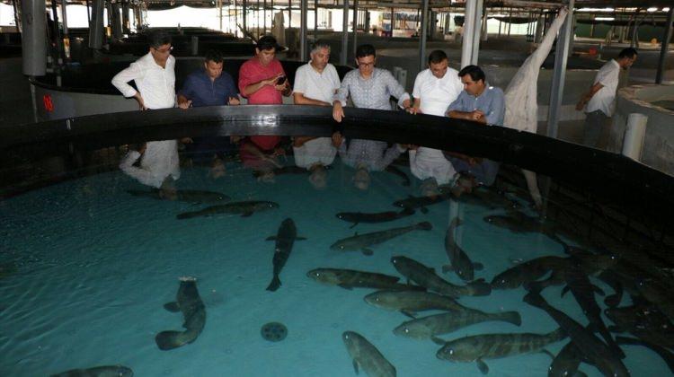 Milletvekili Uslu, Akdeniz Su Ürünleri Araştırma Enstitüsünü ziyaret etti