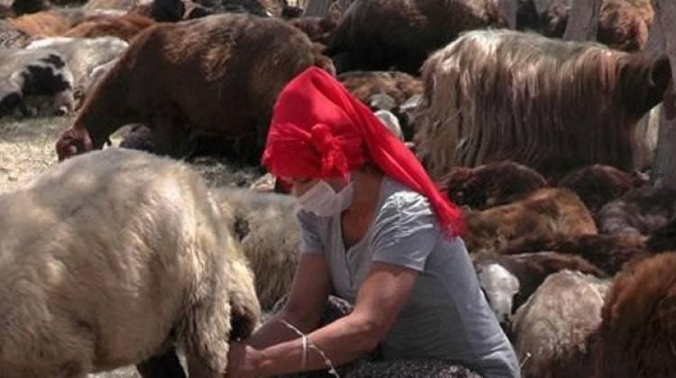 Bakanlık desteğiyle köyde yeni hayat...