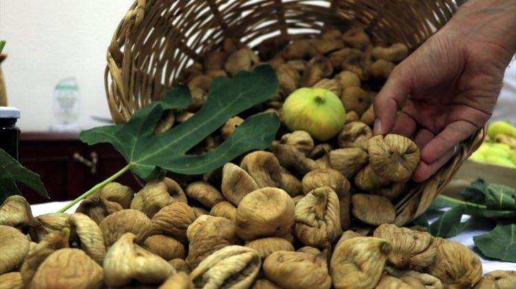 Aydın'da sezonun ilk kuru inciri 70 liradan satıldı