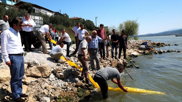Bursa'nın iki gölüne 300 bin yavru sazan bırakıldı