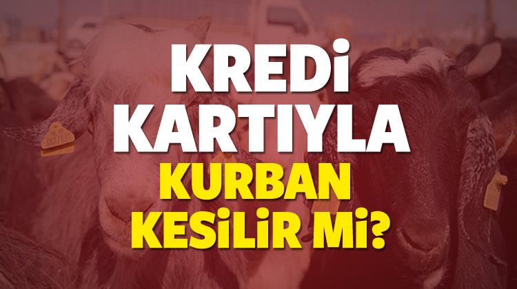 Kredi Kartiyla Kurbanlik Alinir Mi Taksitle Kurban Kesenler Yasam Haberleri