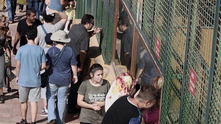 Gaziantep Hayvanat Bahçesi'nde bayram yoğunluğu