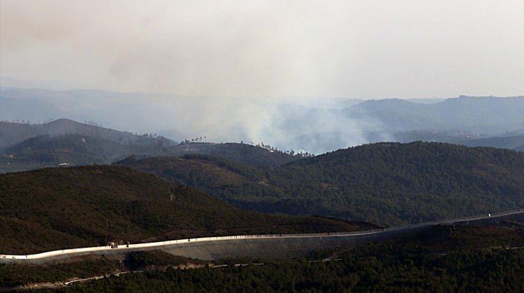 Ormanlar Suriye'deki "ateşten" korunuyor