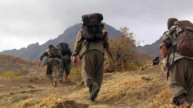 İş adamının PKK'ya para aktardığı iddiası