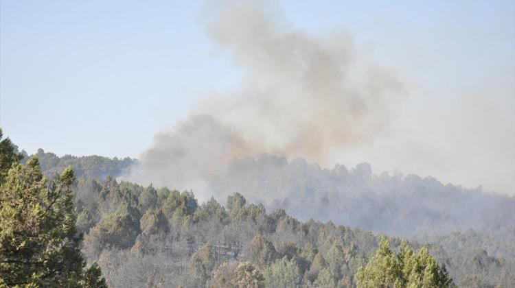 GÜNCELLEME - Balıkesir'de ev yangını ormana sıçradı