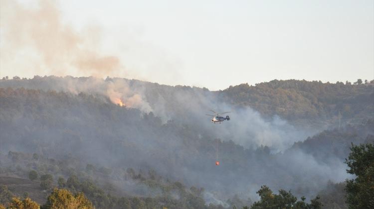 Balıkesir'de ev yangınının ormana sıçraması