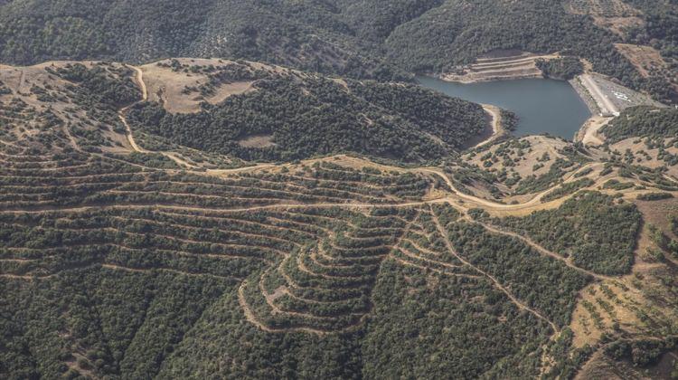 İzmir'de baraj havzaları ağaçlandırılıyor