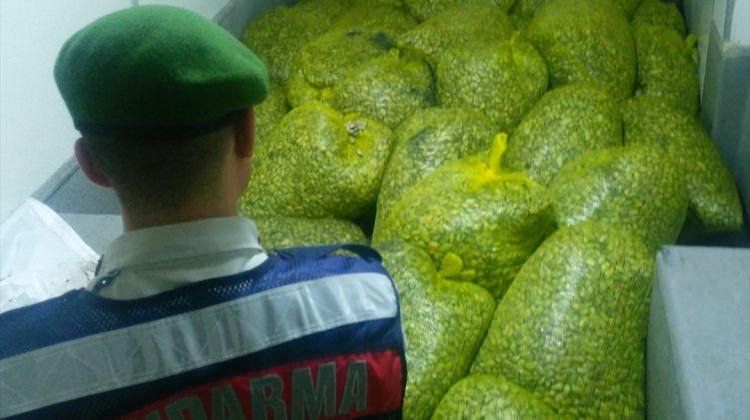 Bursa'da 1,2 ton kaçak midye ele geçirildi
