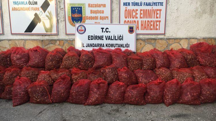 Edirne'de kaçak midye operasyonları
