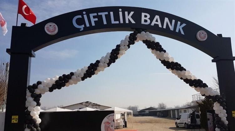 Bakanlıktan Çiftlik Bank için suç duyurusu