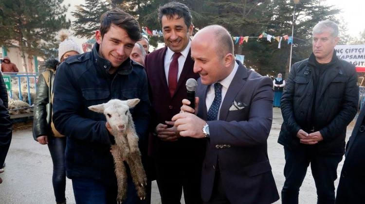 Amasya'da bin adet küçükbaş hayvan çiftçilere hibe yoluyla dağıtıldı